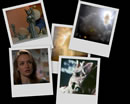A desktop background collage from Millennium's Monster.