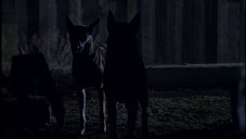 A third random scene from this Millennium episode Beware of the Dog.