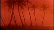 Thumbnail image 118 from the Millennium episode Darwin's Eye.