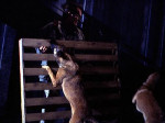 Thumbnail image 5 from the Millennium episode Beware of the Dog.