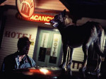 Thumbnail image 7 from the Millennium episode Beware of the Dog.